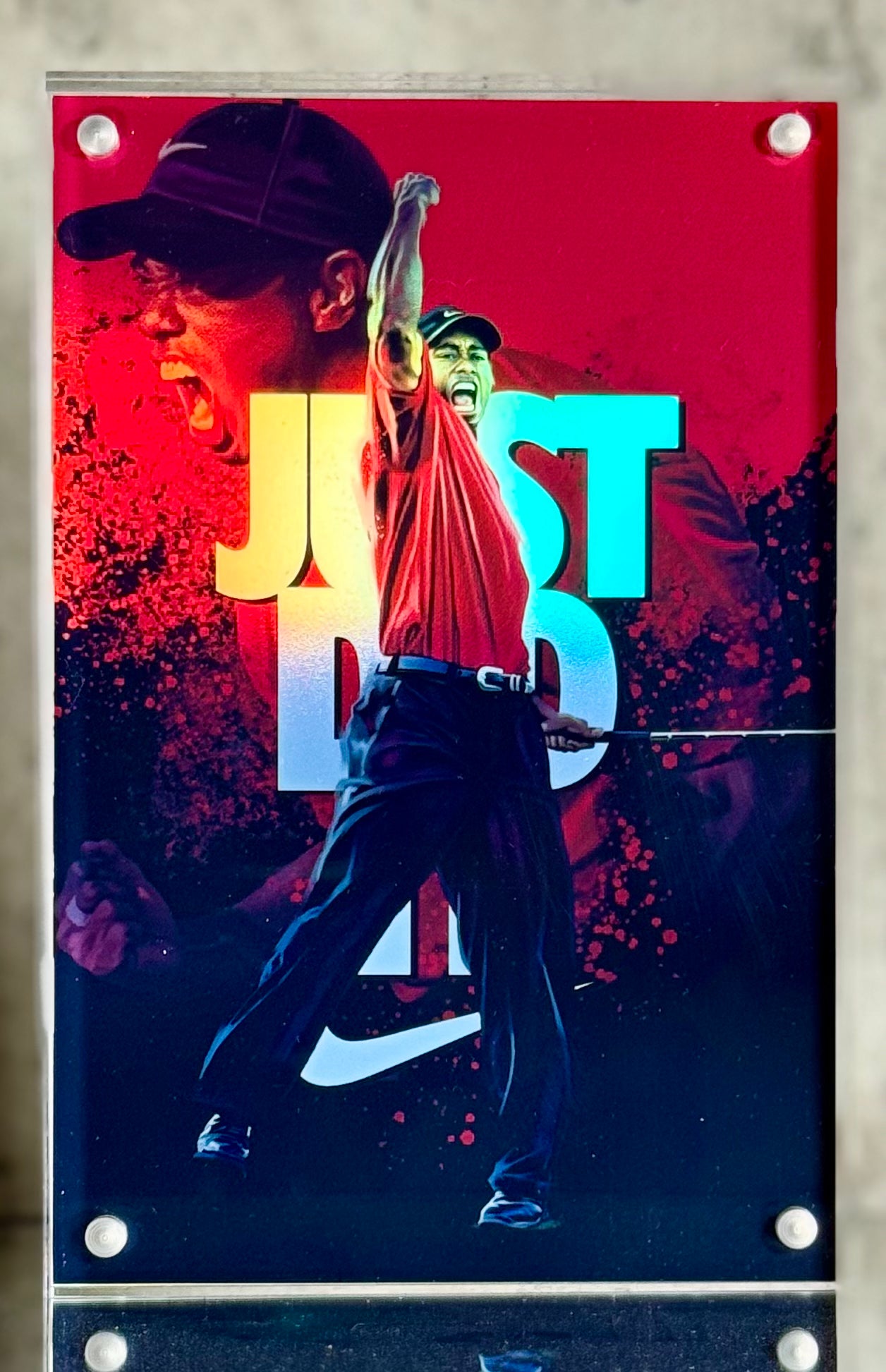 Tiger Woods 4x6 BLOX