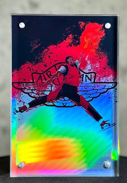 Michael Jordan Air 4x6 BLOX