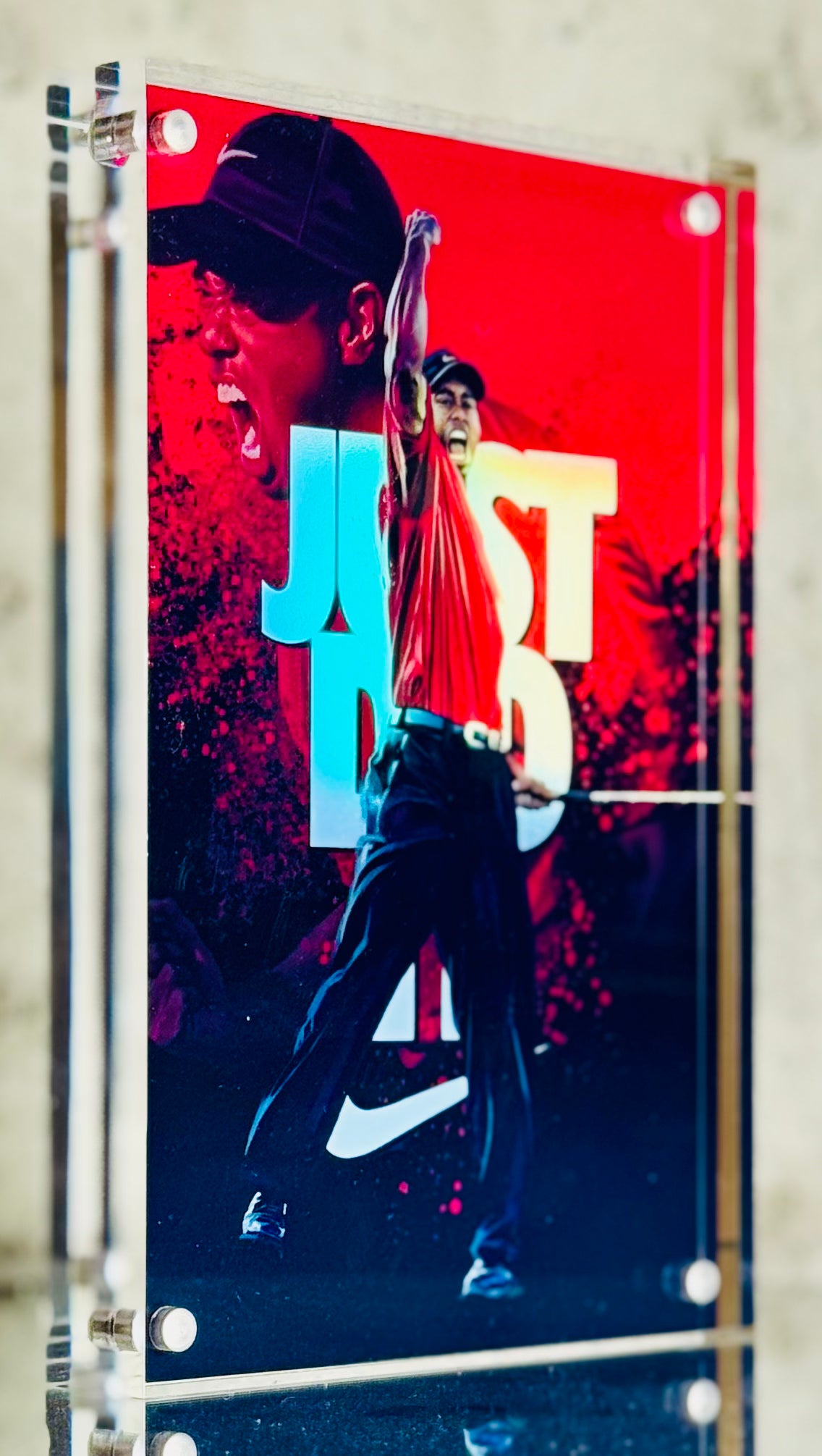 Tiger Woods 4x6 BLOX